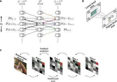 Deep Gated Hebbian Predictive Coding Accounts for Emergence of Complex Neural Response Properties Along the Visual Cortical Hierarchy